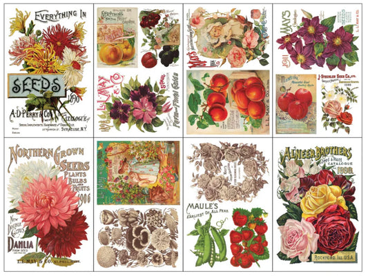 Seed Catalogue Decor Transfer | IOD