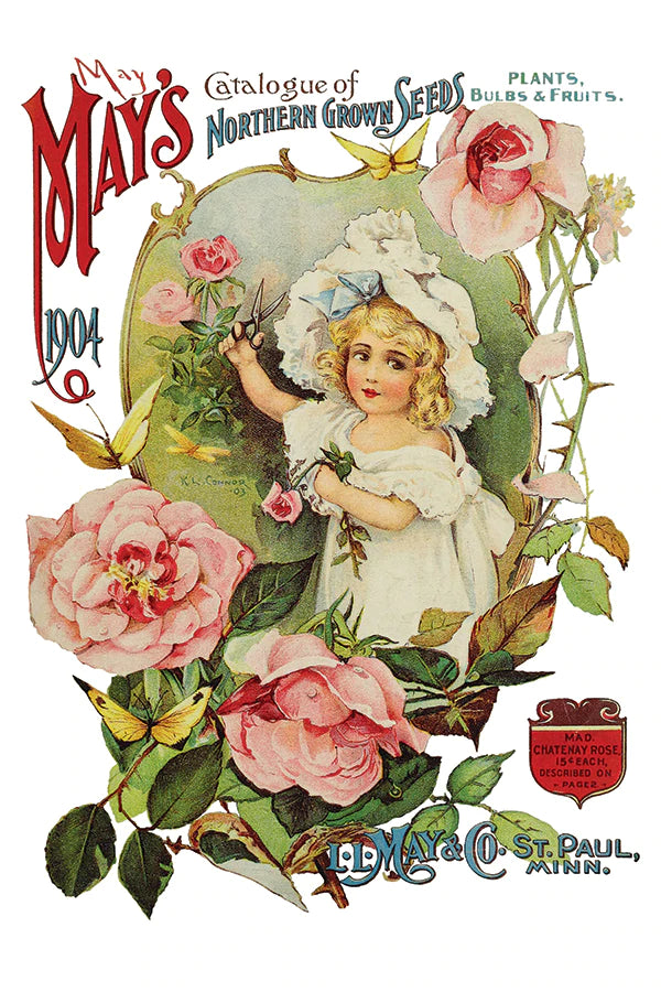 Ephemeral Melange Decor Transfer | IOD