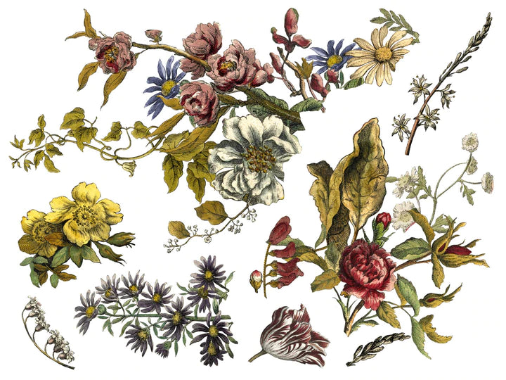 Floral Anthology Decor Transfer | IOD