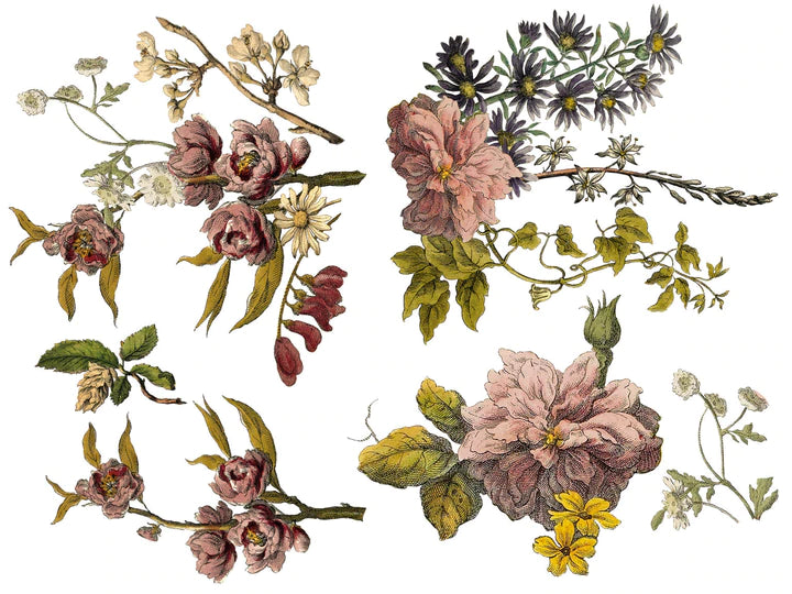 Floral Anthology Decor Transfer | IOD