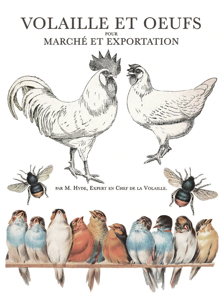 Brocante Decor Transfer | IOD