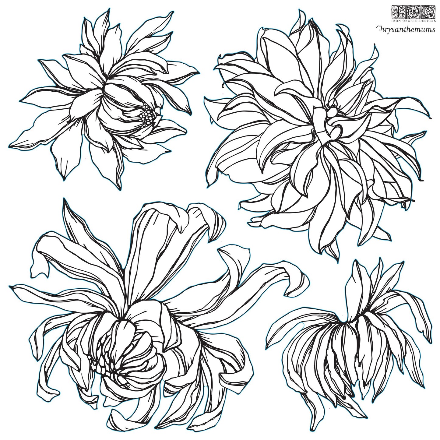 Chrysanthemum | IOD Decor Stamp