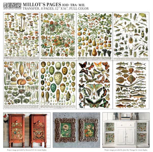 Millot’s Pages Decor Transfer | IOD