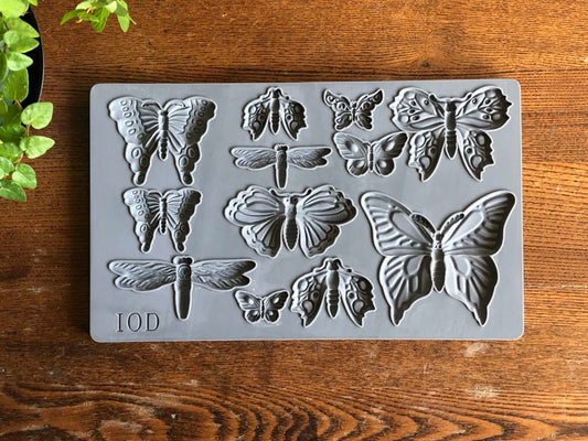 Monarch | IOD Decor Mould