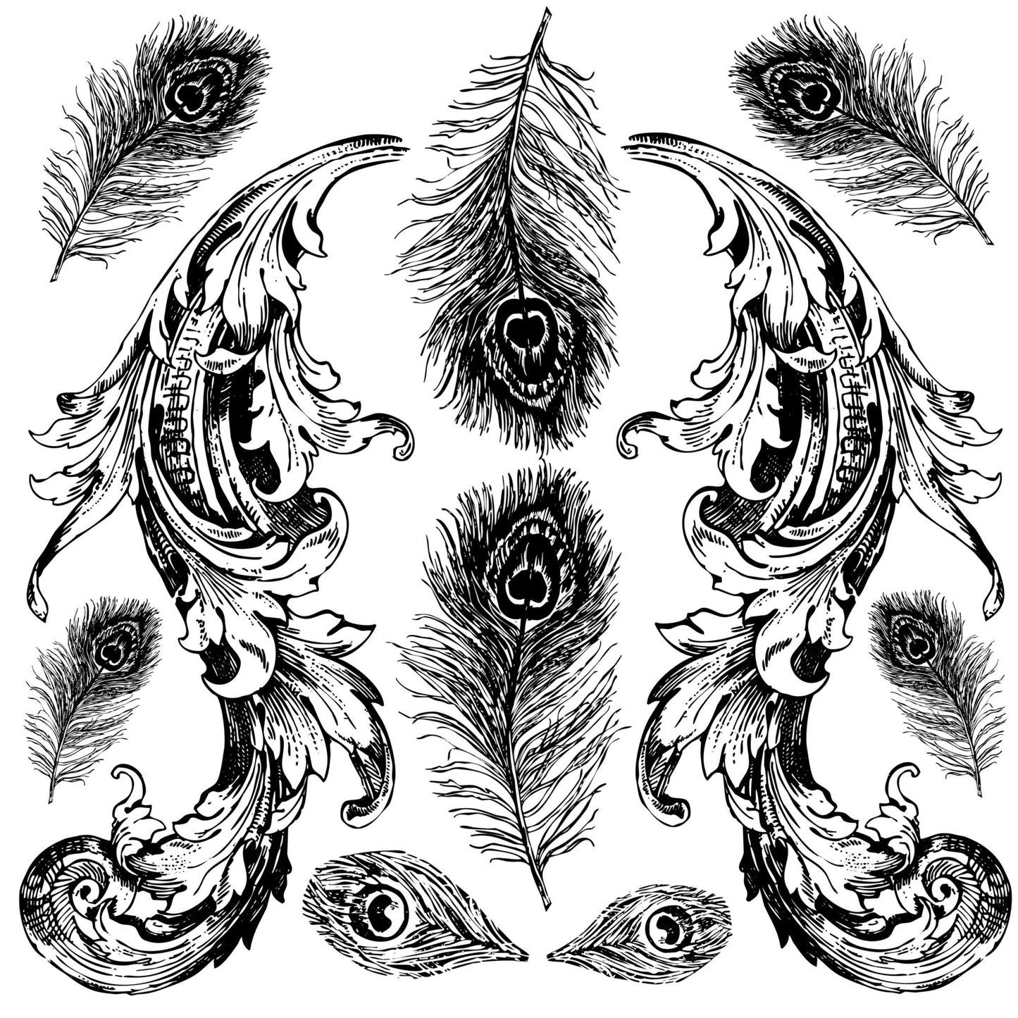 Pavo | IOD Decor Stamp