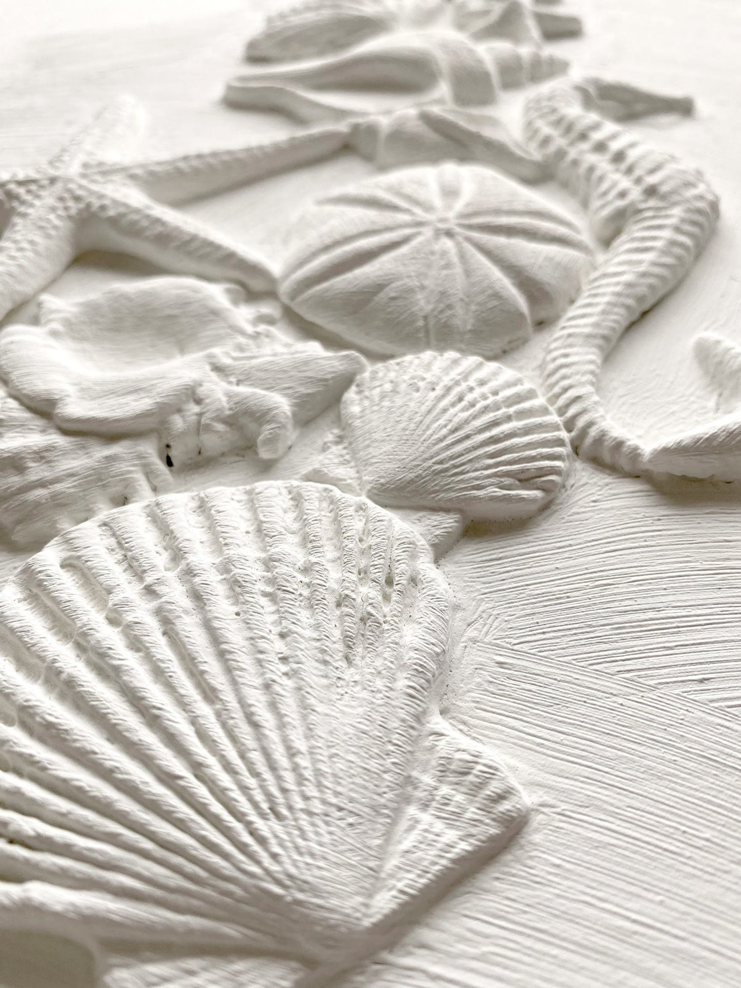 Sea Shells | IOD Decor Mould